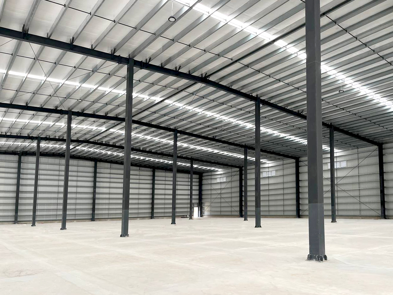 photo_4931895944136035273_y