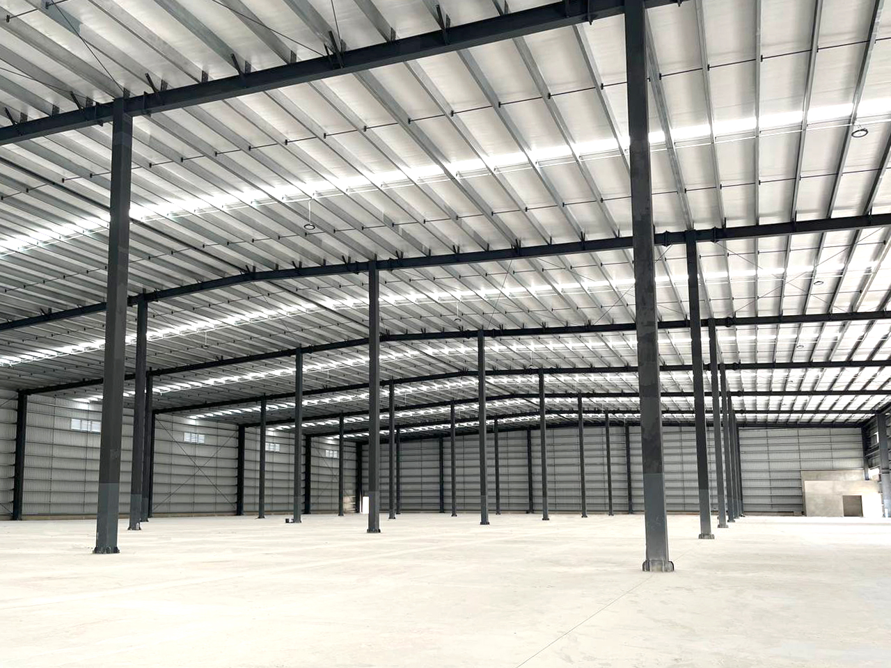 photo_4931895944136035284_y