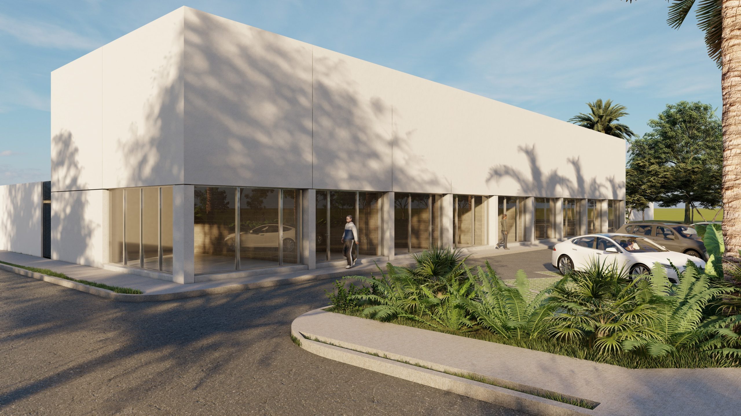 render caucel3